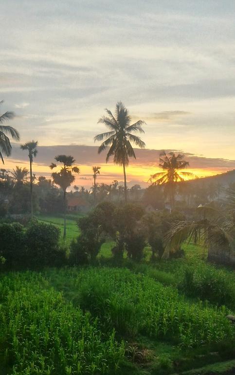 Bali Blue Gecko Villas Amed  Luaran gambar
